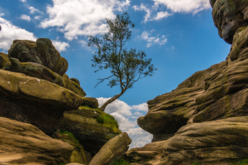 Brimham rocks