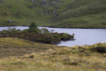 Schottland