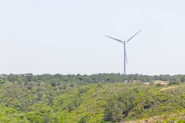 Wind farm and pine forest in Aljezur