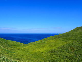 海と草原