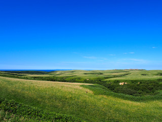 大草原と青空