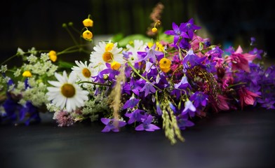 Meadow flower bouquet on black background.