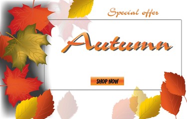 Autumn calligraphy. Seasonal lettering.web banner template.vector illustration.