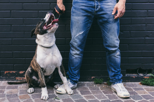 Man with his Dog