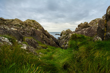 Nord sea - coastline of Scotland - green plants and stones