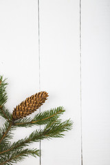 Fir branches on a white wooden background.