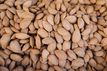 Raw almond nuts