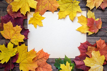 Frame of autumn leaves and a white sheet of paper on a wooden plank background