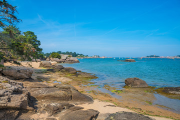 Ploumanach, Pink granite coast, Perros Guirec, Brittany, France