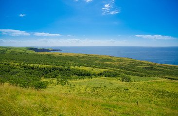 Fototapeta na wymiar Beautiful landscape of South Maui, Island of Hawaii