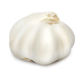 Head of garlic isolated on a white background. Design element for product label, catalog print, web use.