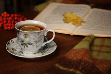  Tea with lemon, book and rowan berries