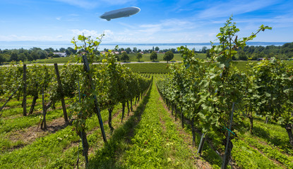 A zeppelin and vineyards near Immenstaad at Lake Constance - Immenstaad, Lake Constance, Baden-Wuerttemberg, Germany, Europe © karlo54