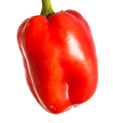 ripe sweet pepper. Isolated on white background