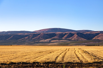 Il Tavoliere di Puglia