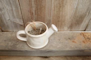 Close Up Dirty Watering Pot with Dried Plant on Wooden Shelf