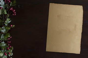 beautiful rustic dark wooden background with hawthorn foliage border at left side and vintage paper sheet