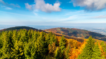 Złota polska jesień., Górski jesienny krajobraz. Kolorowe drzewa. Beskidy, Polska . Tapeta, tło © Jarosław  Żak