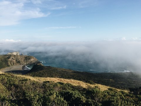 Foggy coastal landscape in Jenner California