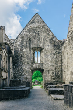 The ruins of Muckross Abbey