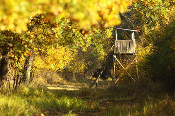 wooden hunting tower in the forest