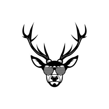 Vector deer head, face for retro hipster logos, emblems, badges, labels template and t-shirt vintage design element. Isolated on white background © Tetiana