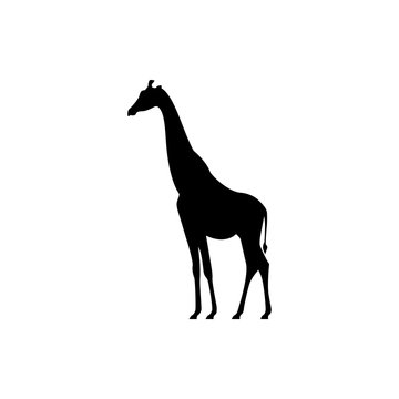 Vector giraffe silhouette view side for retro logos, emblems, badges, labels template vintage design element. Isolated on white background