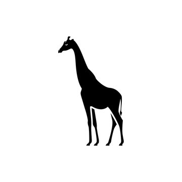 Vector giraffe silhouette view side for retro logos, emblems, badges, labels template vintage design element. Isolated on white background