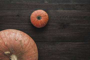 halloween concept. pumpkins on dark wood background 