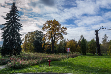 Park  w mieście Lódź, Polska