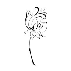 ornament 145. stylized flower in black lines on a white background