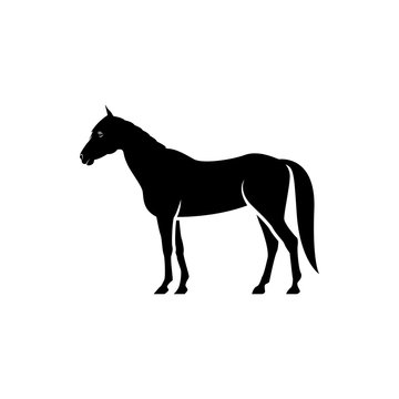 recommend clip art: Vector horse silhouette view side for retro logos, emblems, badges, labels template vintage design element. Isolated on white background