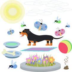 abstract illustration of a Dachshund dog with toys on a white background