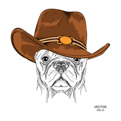 a dog in a cowboy hat. vector illustration