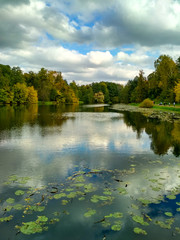Golden autumn scene in a park, with falling leaves, the sun shining through the trees and blue sky