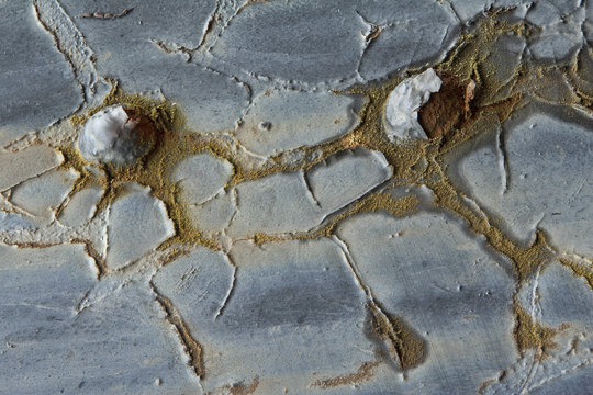 closeup macro macrophotograph rivets rust paint patterns of decay old train during rainstorm