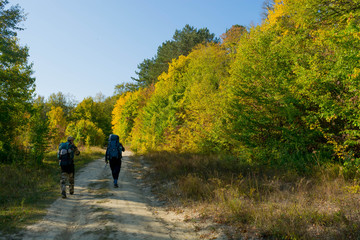 Obraz premium Tourists in the forest 2