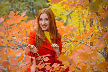 Naklejka na ściany i meble Cute and nice young beautiful woman in a red casual coat and red-yellow scarf walks in autumn city park. Pretty view of walking woman outside