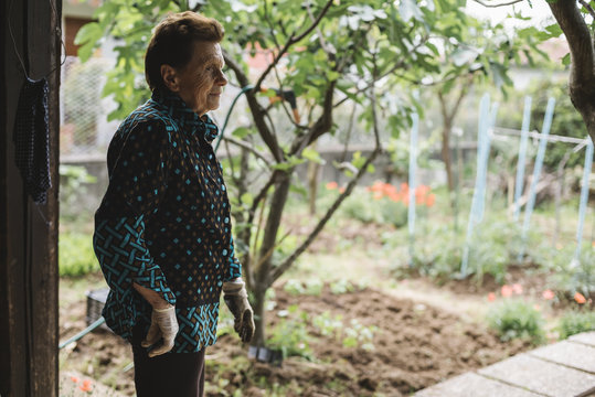 Senior woman portrait in her vegetable garden