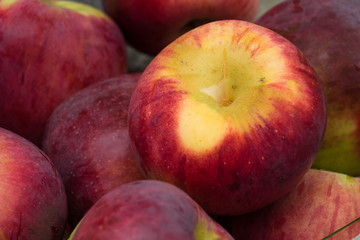 Close up of fresh red apples in a bag