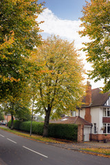 Naklejka premium Autumn time in a busy city surrounded by lush foliage