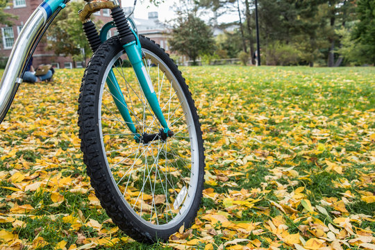 Close up of a front wheel of a bicycle with beautiful fall foliage