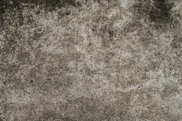 Fototapeta premium Dirty black dirt fungus on concrete floor texture background