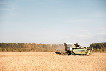 Obraz premium Tractor harvesting golden wheat in the field on sunny day