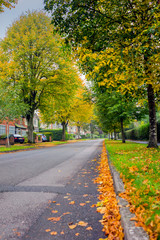 Naklejka premium Autumn time in a busy city surrounded by lush foliage