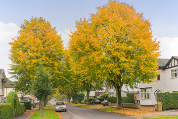 Naklejka premium Autumn time in a busy city surrounded by lush foliage