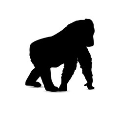 Silhouette of running gorilla.