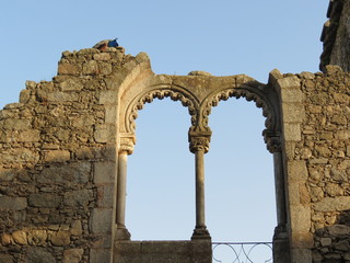 Portugal - Alentejo -  Evora - Paon en haut des ruines situées dans du Jardin public