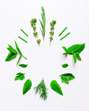 Aromatic herbs on white.