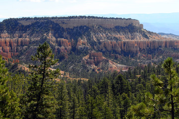 Bryce canyon landscape, USA